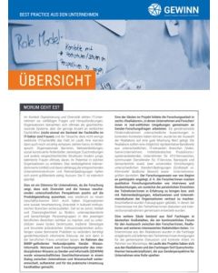 GEWINN-Best-Practice 